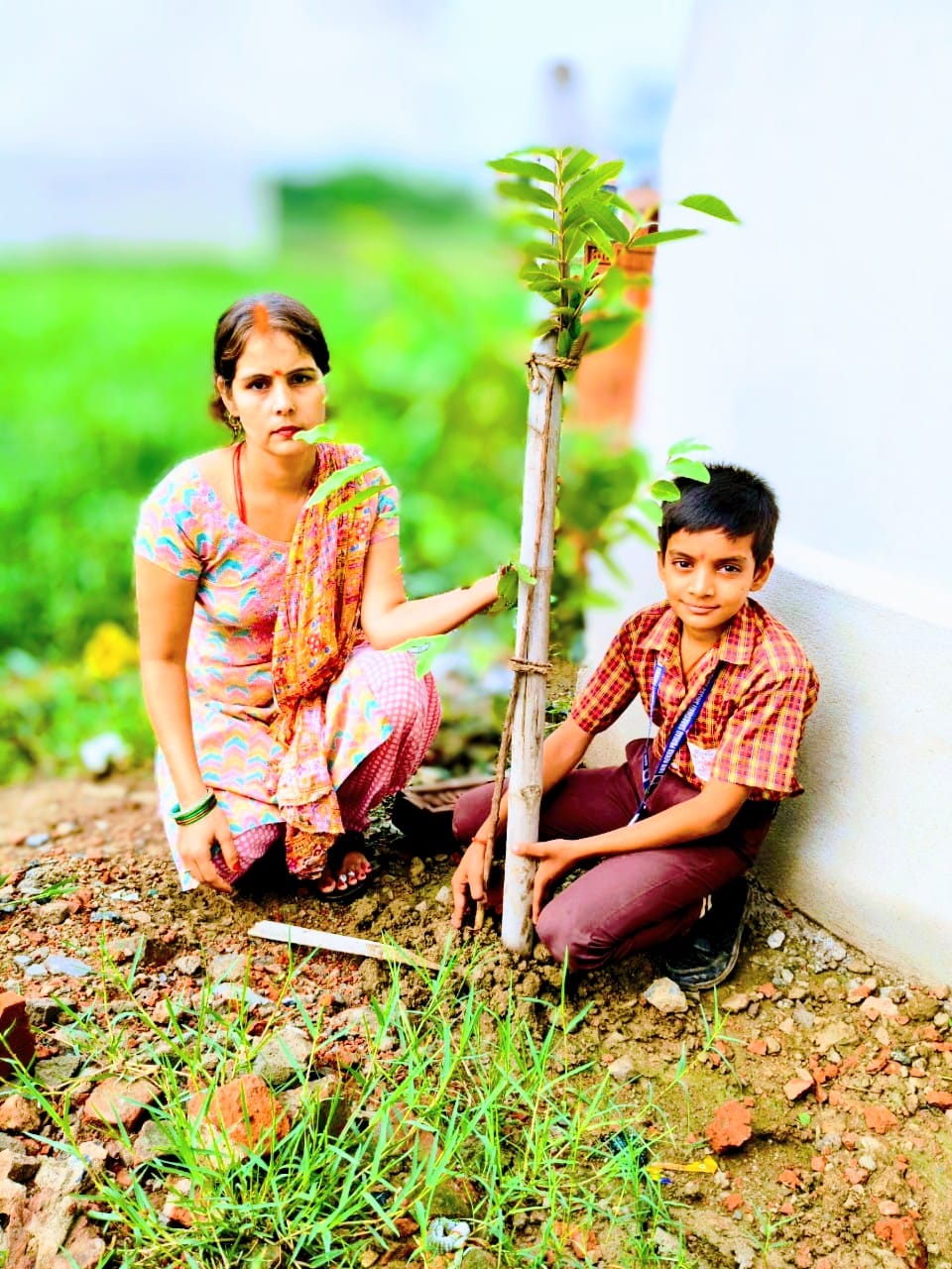 Tree Plantation